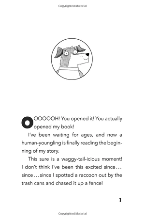 bộ dog diaries 1: a middle school story