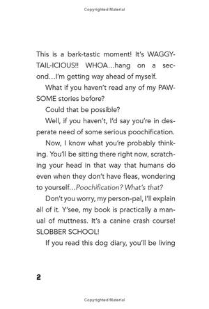 bộ dog diaries 2: happy howlidays: a middle school story