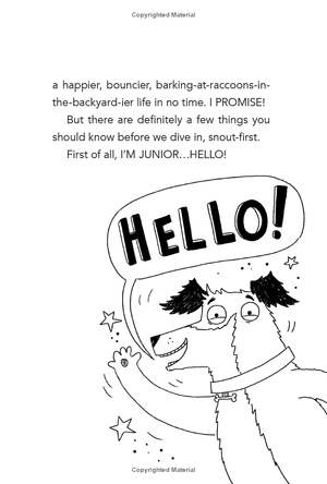 bộ dog diaries 2: happy howlidays: a middle school story