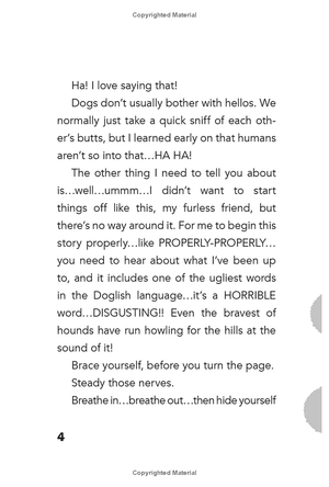 bộ dog diaries 2: happy howlidays: a middle school story