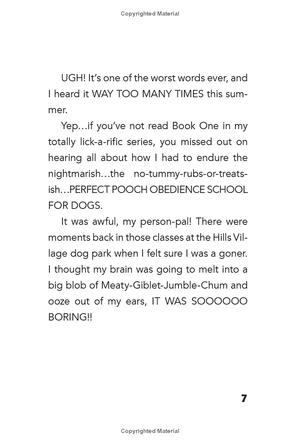 bộ dog diaries 2: happy howlidays: a middle school story