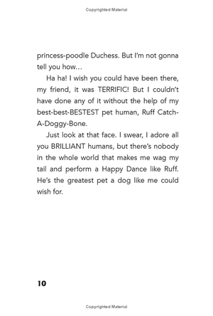 bộ dog diaries 2: happy howlidays: a middle school story