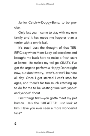 bộ dog diaries 3: mission impawsible: a middle school story