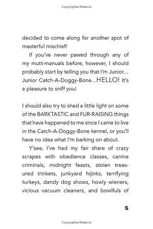 bộ dog diaries 5: ruffing it: a middle school story