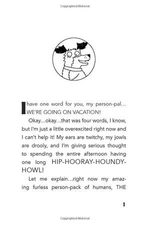 bộ dog diaries 5: ruffing it: a middle school story