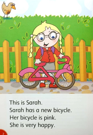 bộ dolphin readers level 2: double trouble