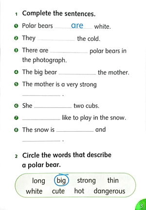 bộ dolphin readers level 3: wonderful wild animals