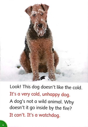 bộ dolphin readers level 3: wonderful wild animals