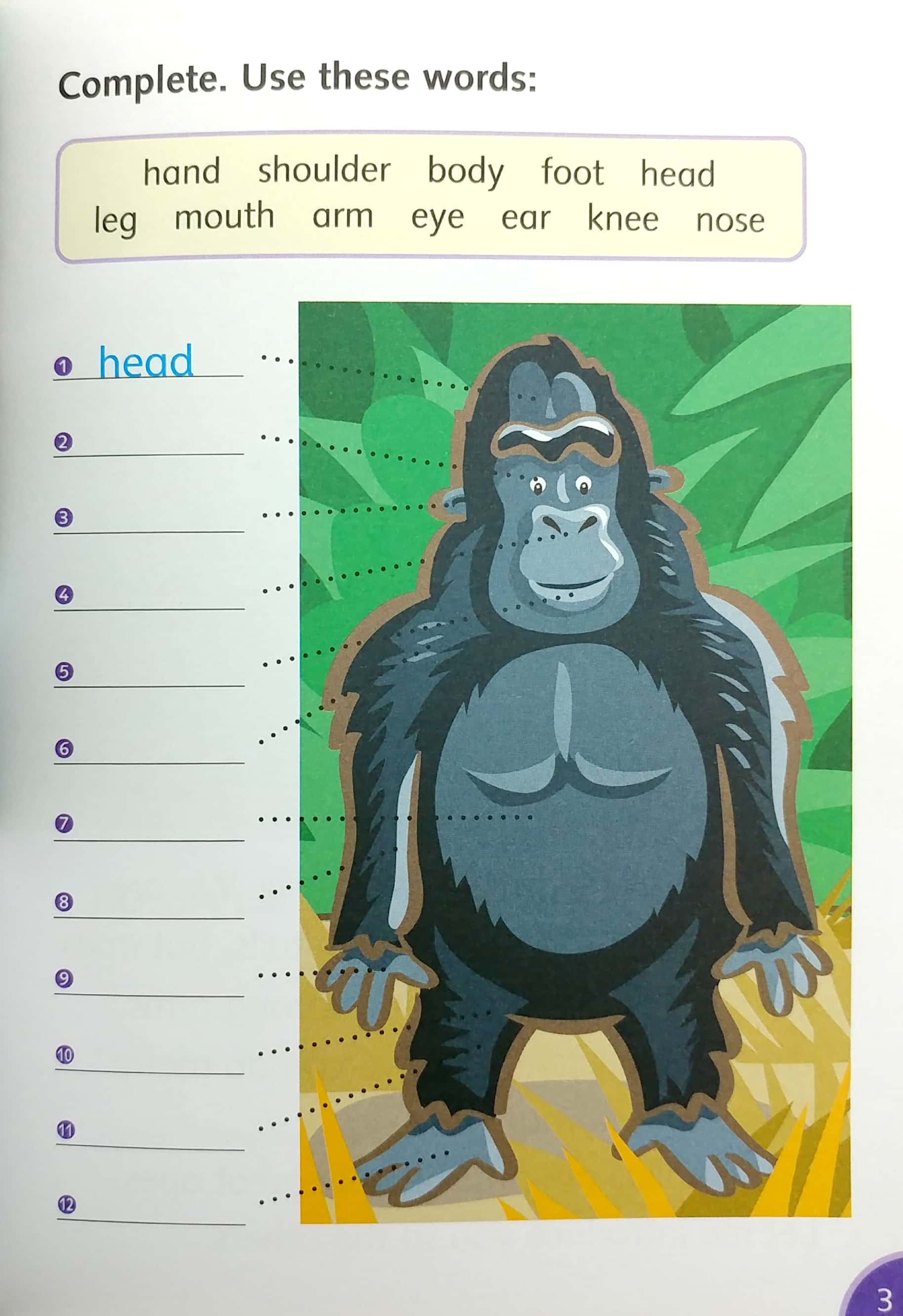 bộ dolphin readers level 4: go, gorillas, go