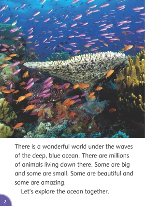 bộ dolphin readers level 4: in the ocean