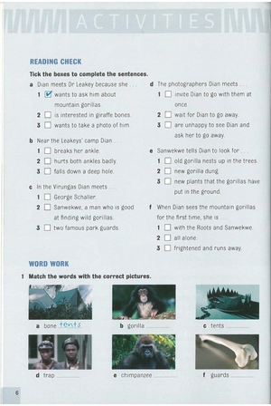 bộ dominoes 3 dian and the gorillas