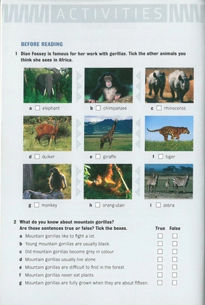 bộ dominoes 3 dian and the gorillas