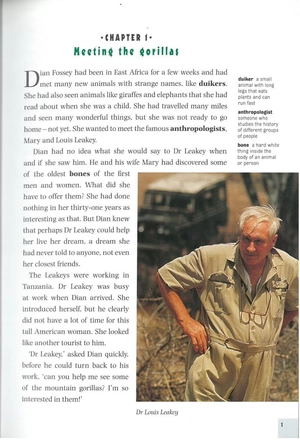 bộ dominoes 3 dian and the gorillas