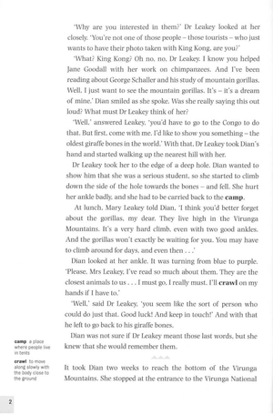 bộ dominoes 3 dian and the gorillas