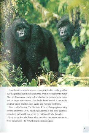 bộ dominoes 3 dian and the gorillas