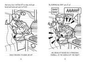 bộ dork diaries 11: tales from a not-so-friendly frenemy