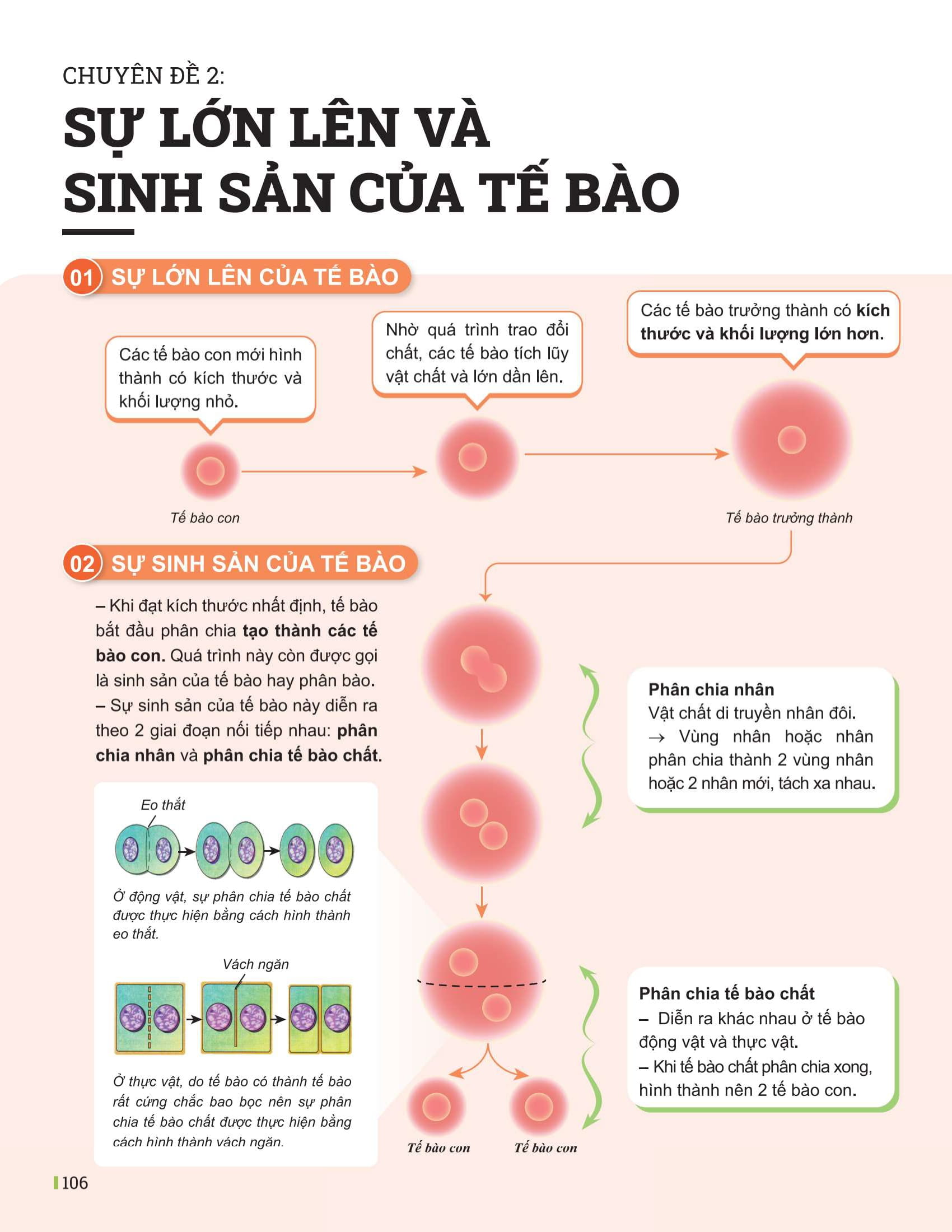 Bo
						
										
										Dot Pha Tu Duy Khoa Hoc Tu Nhien 6 - Tap 1