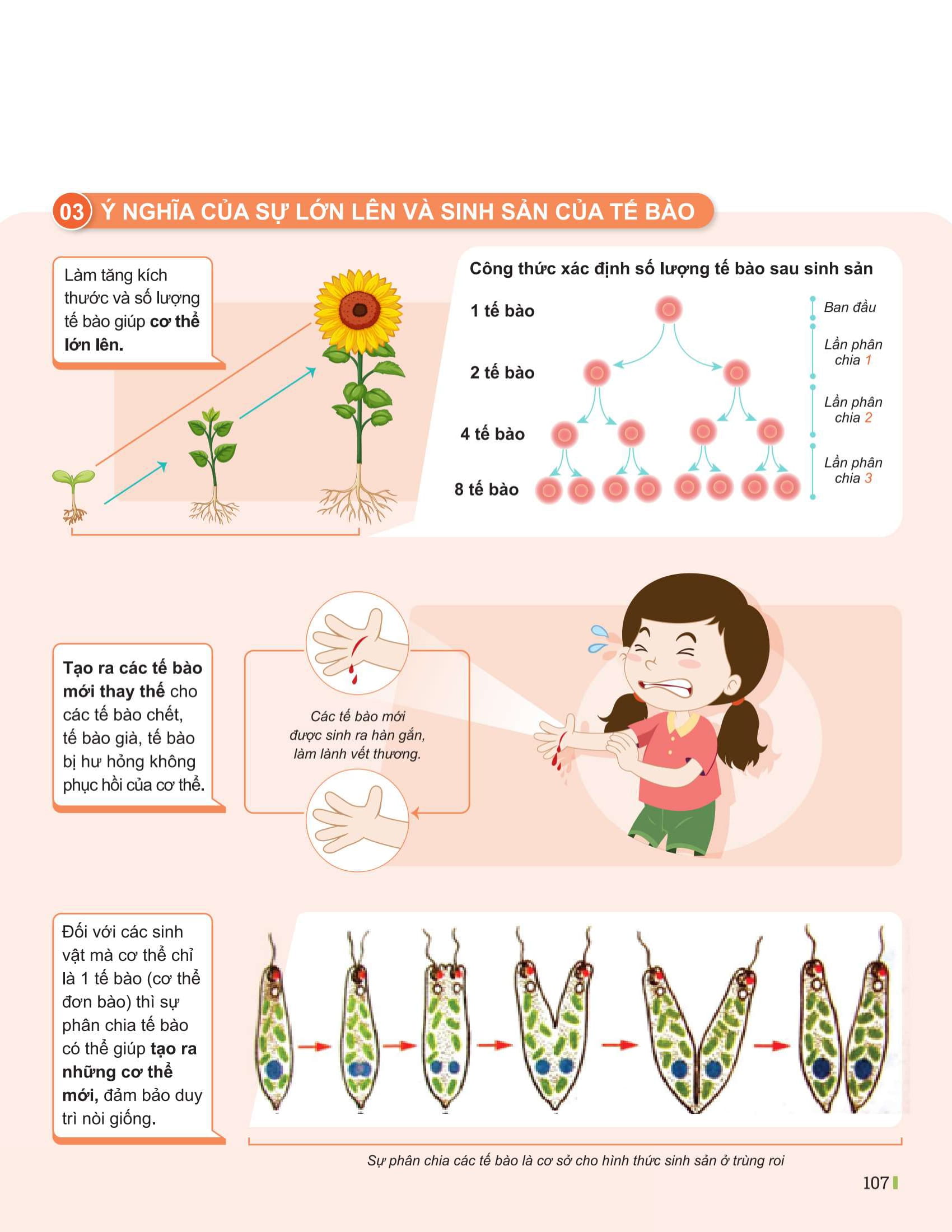 Bo
						
										
										Dot Pha Tu Duy Khoa Hoc Tu Nhien 6 - Tap 1