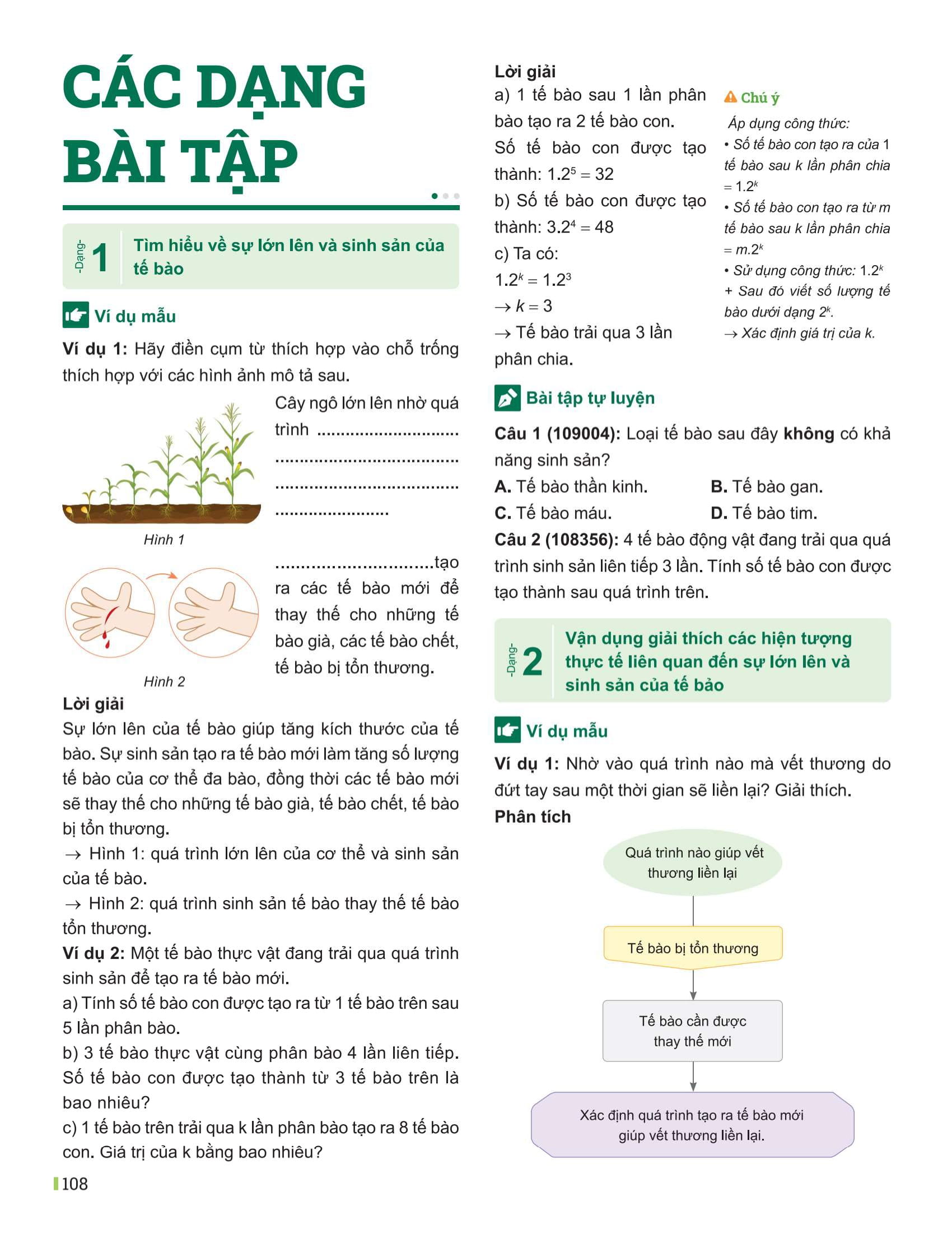 Bo
						
										
										Dot Pha Tu Duy Khoa Hoc Tu Nhien 6 - Tap 1