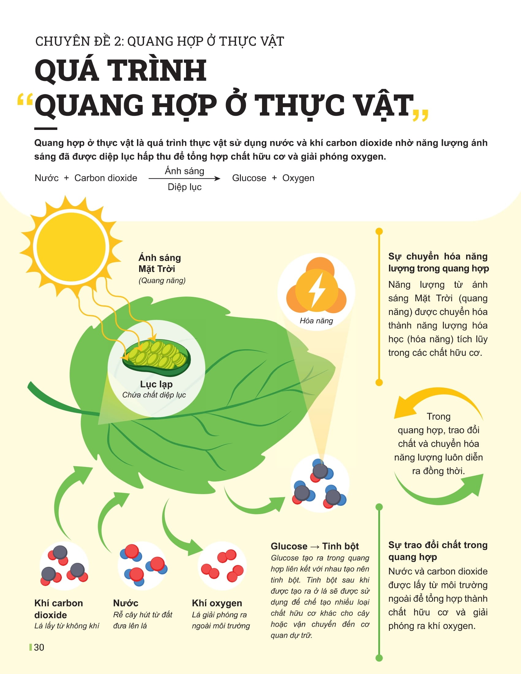 Bo
						
										
										Dot Pha Tu Duy Khoa Hoc Tu Nhien 7 - Tap 1 (Tai Ban 2025)