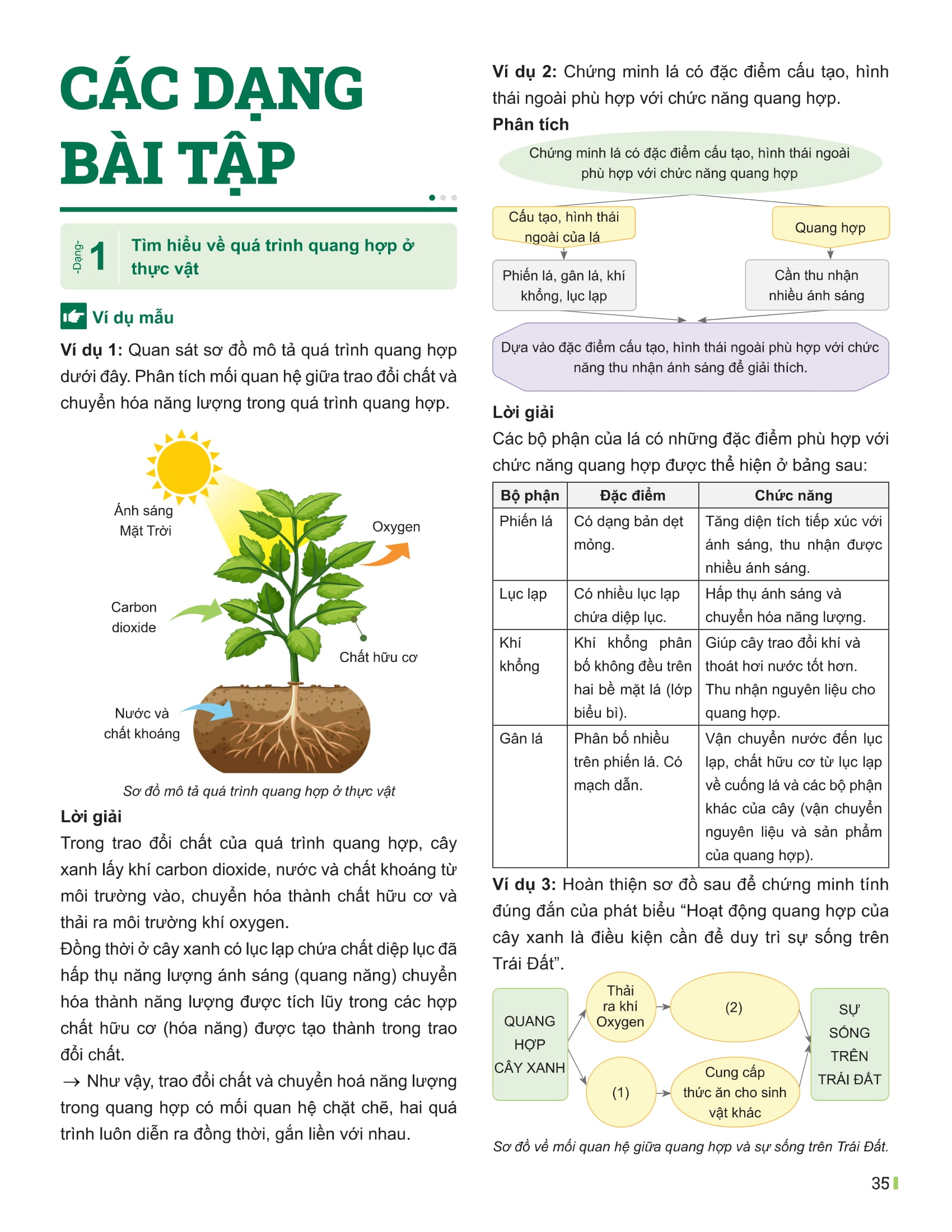Bo
						
										
										Dot Pha Tu Duy Khoa Hoc Tu Nhien 7 - Tap 2