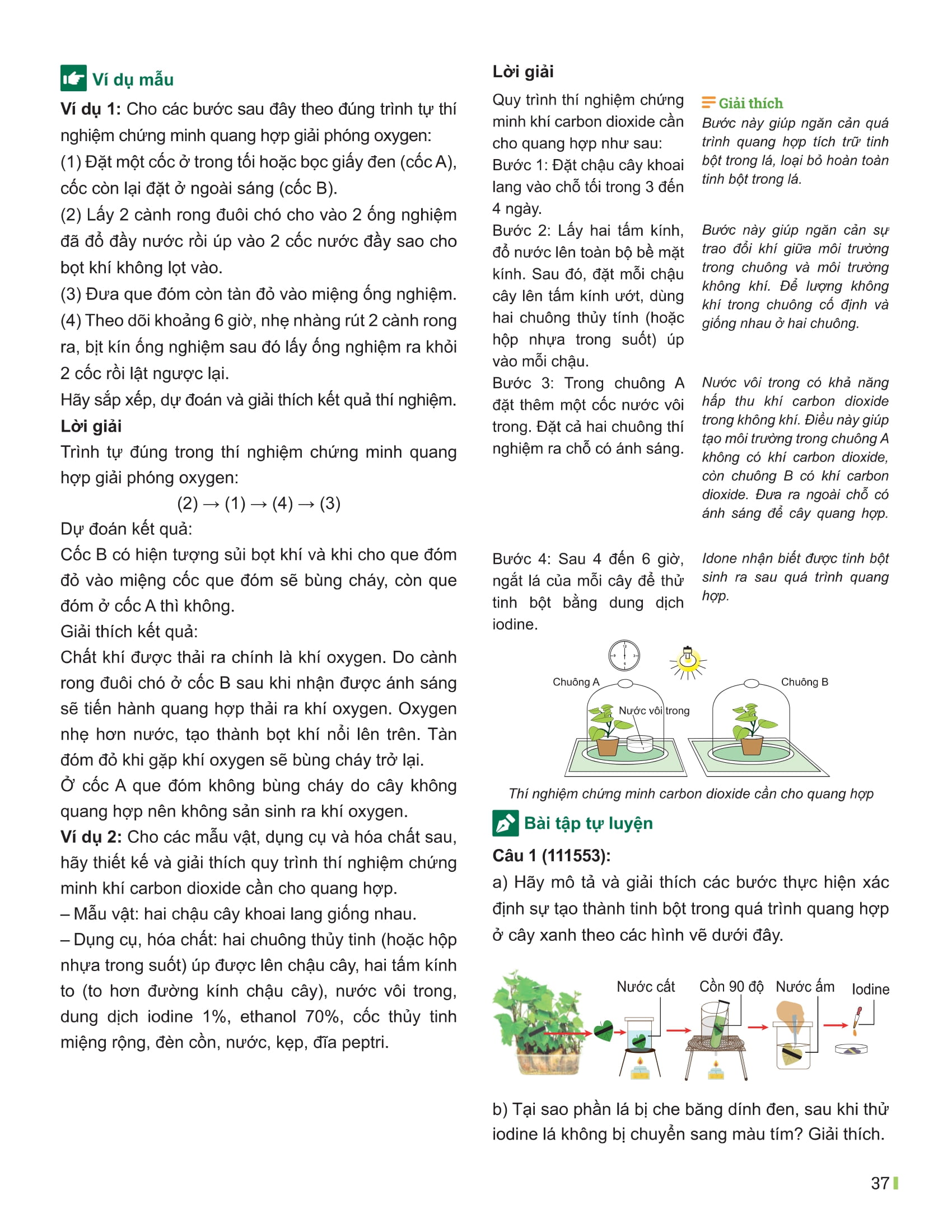 Bo
						
										
										Dot Pha Tu Duy Khoa Hoc Tu Nhien 7 - Tap 2