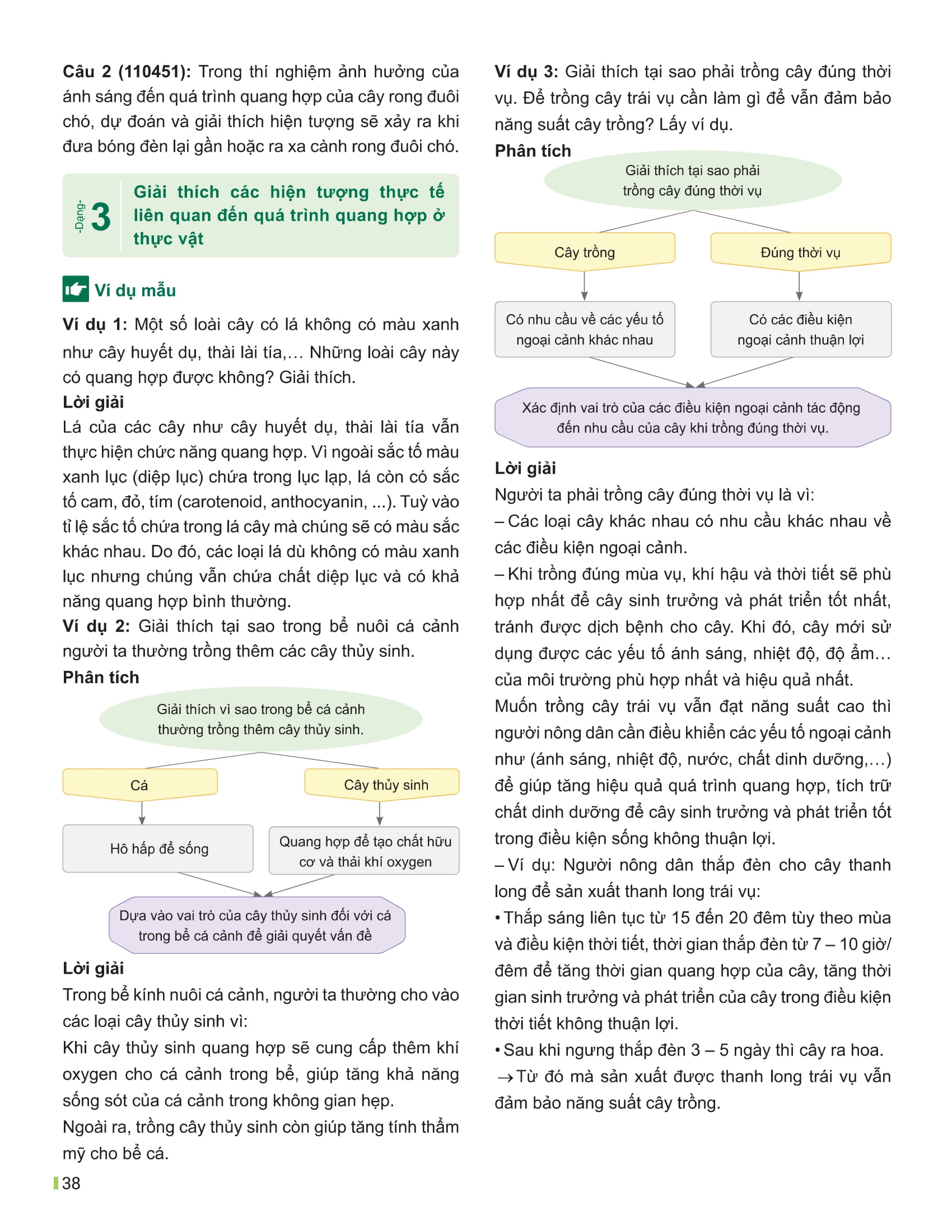 Bo
						
										
										Dot Pha Tu Duy Khoa Hoc Tu Nhien 7 - Tap 2