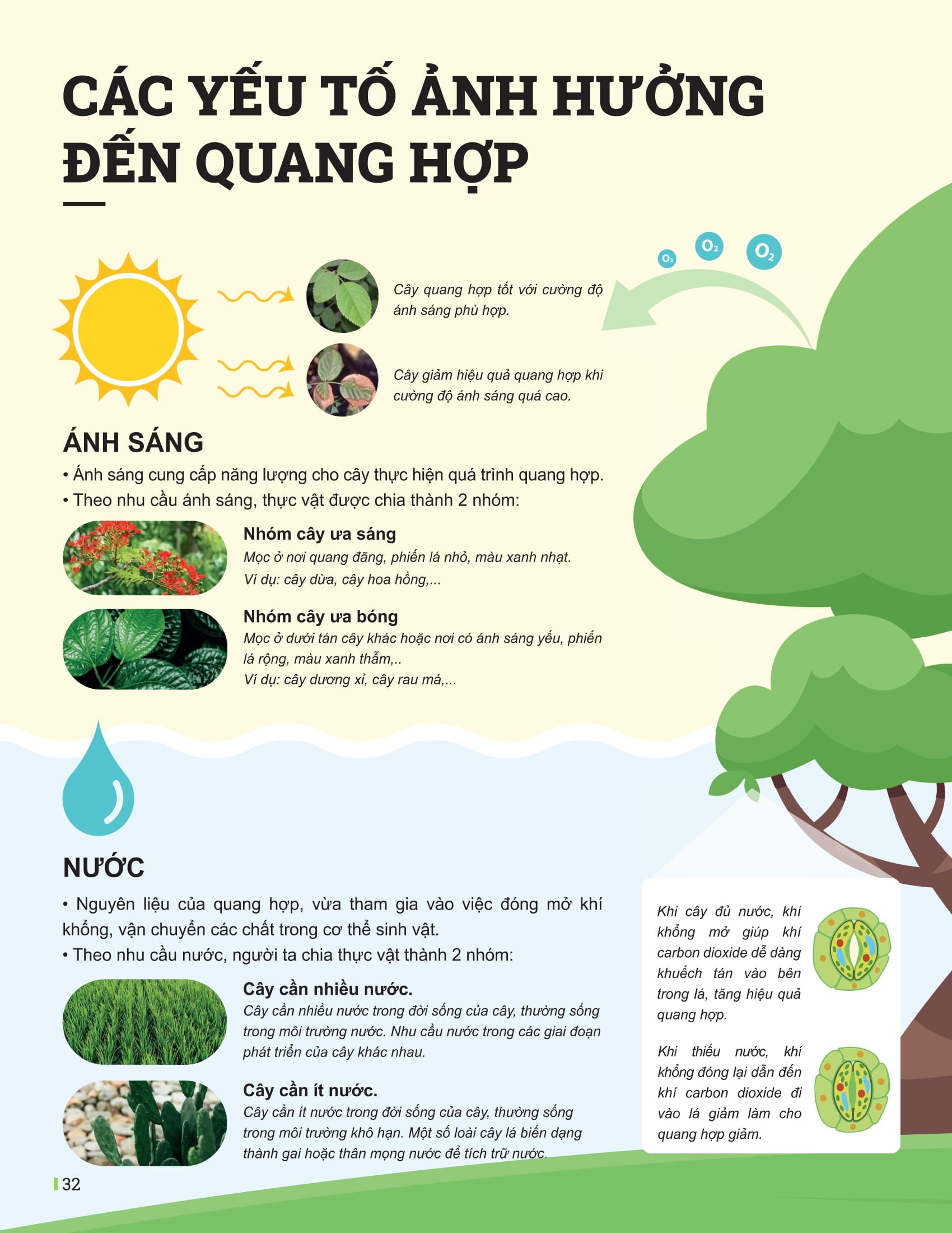 Bo
						
										
										Dot Pha Tu Duy Khoa Hoc Tu Nhien 7 - Tap 2 (Tai Ban 2025)