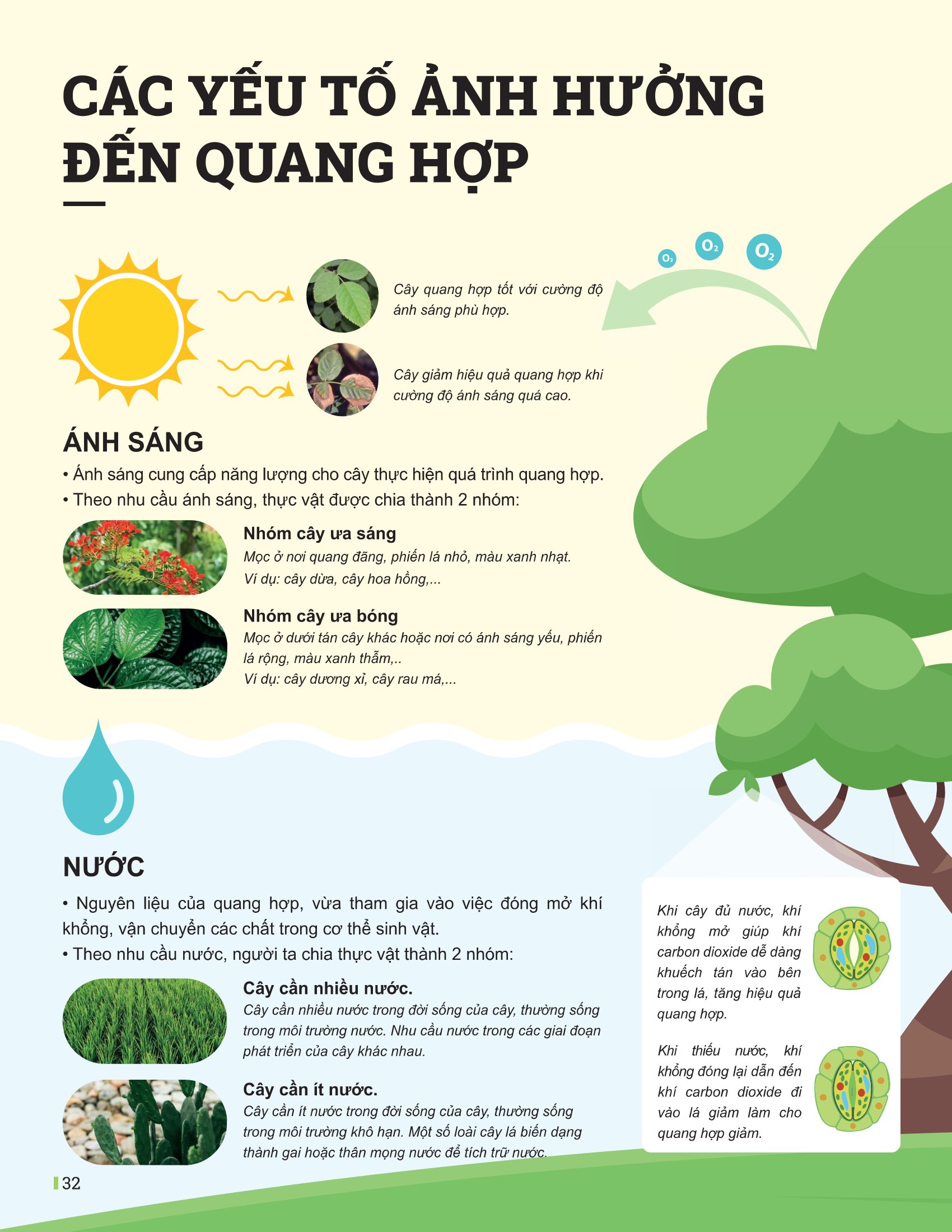 Bộ
						
										
										Đột Phá Tư Duy Khoa Học Tự Nhiên 7 - Tập 2 (Tái Bản 2026)