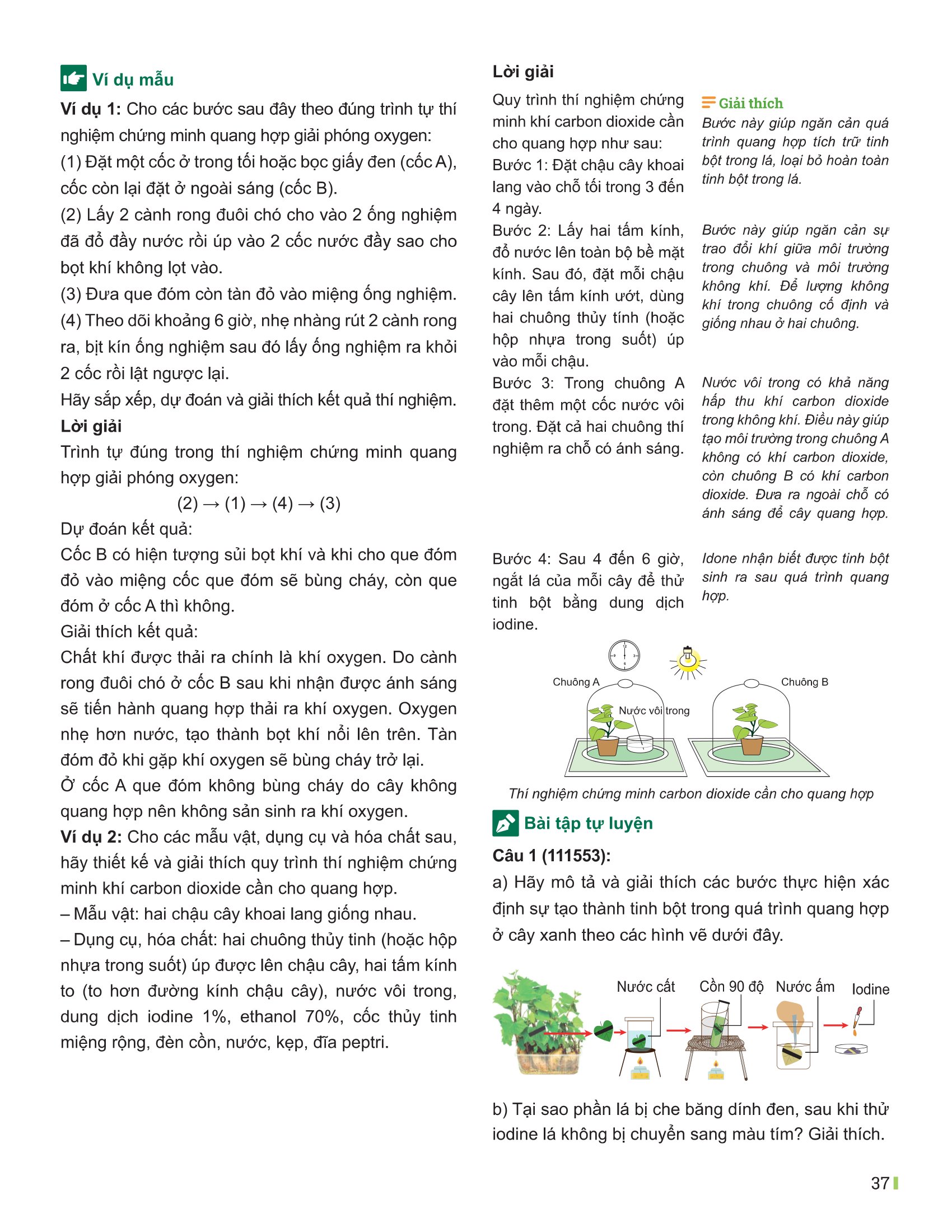 Bộ
						
										
										Đột Phá Tư Duy Khoa Học Tự Nhiên 7 - Tập 2 (Tái Bản 2026)