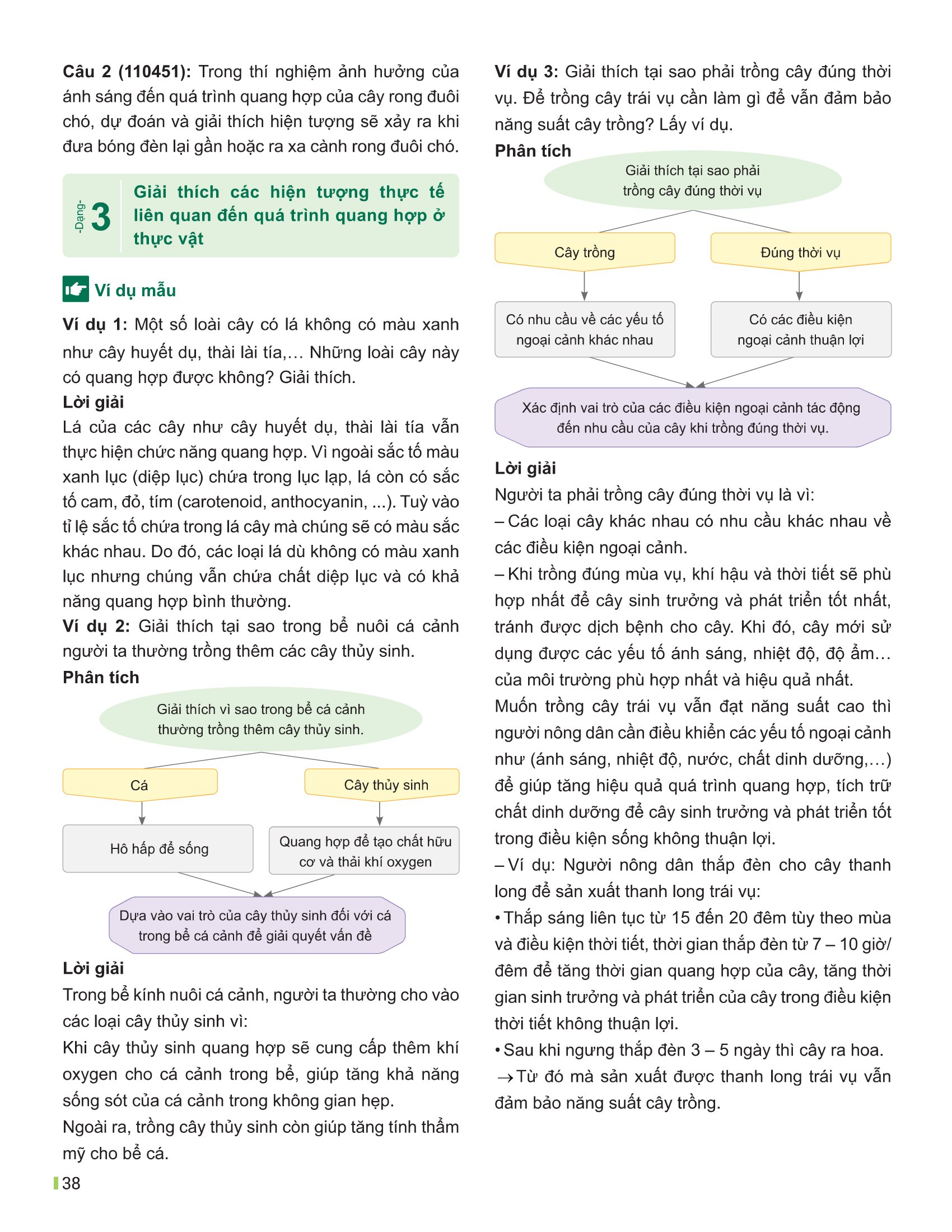 Bộ
						
										
										Đột Phá Tư Duy Khoa Học Tự Nhiên 7 - Tập 2 (Tái Bản 2026)