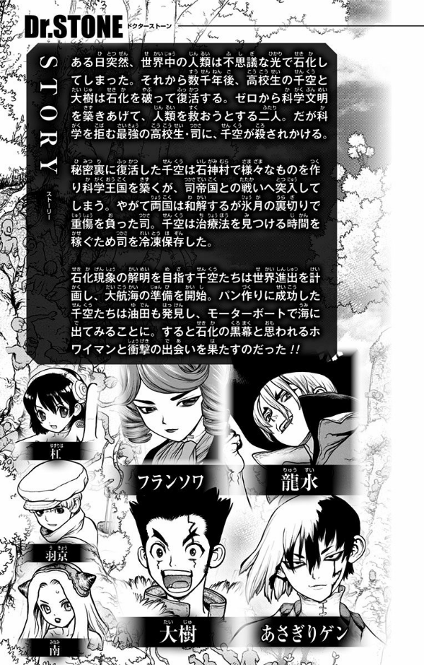 bộ dr. stone 12