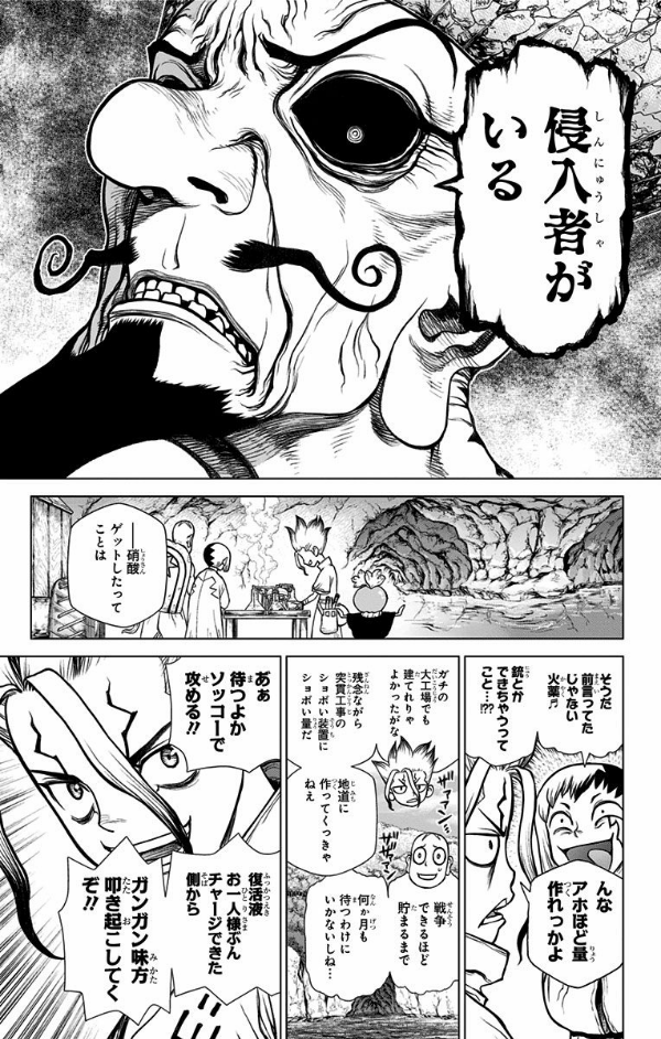 bộ dr. stone 14 (ジャンプコミックス)