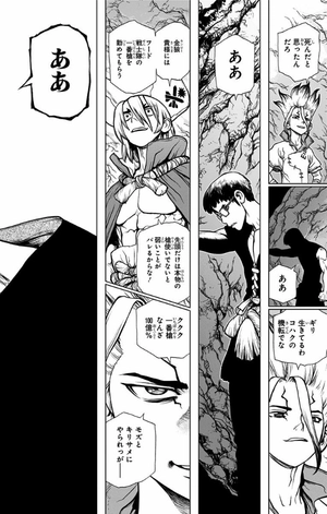 bộ dr. stone 15 (ジャンプコミックス)