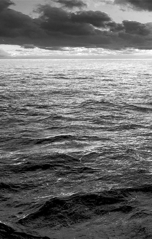 bộ dr. stone 17 (ジャンプコミックス)