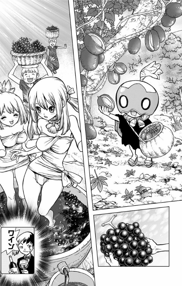 bộ dr.stone 7 (ジャンプコミックス)