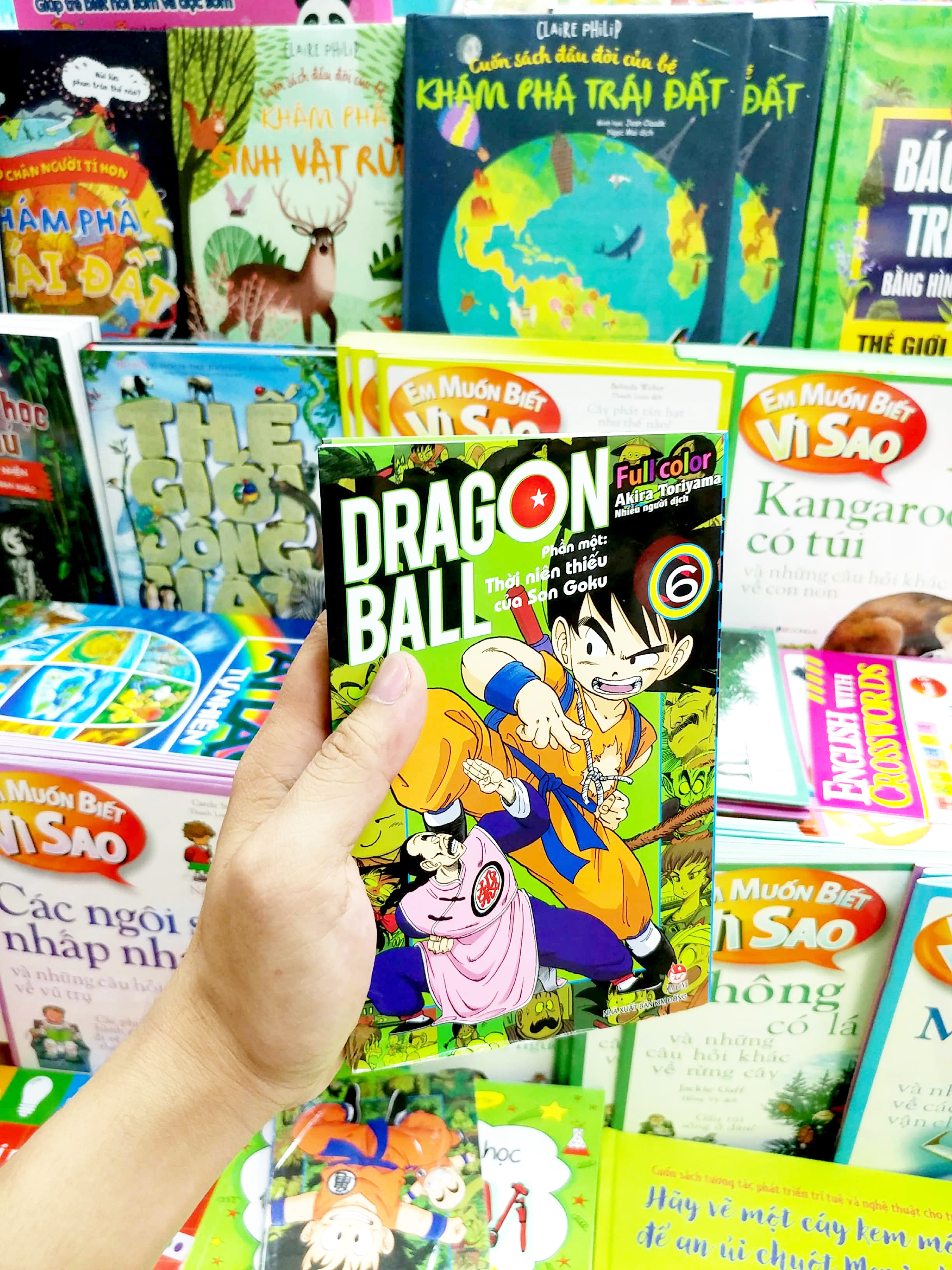 Bộ Dragon Ball Full Color - Phần Một - Thời Niên Thiếu Của Son Goku - Tập 6