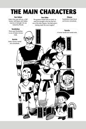 bộ dragon ball z (vizbig edition) vol. 3 (english edition)