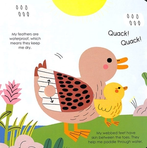 bộ duck (my little green world 6)