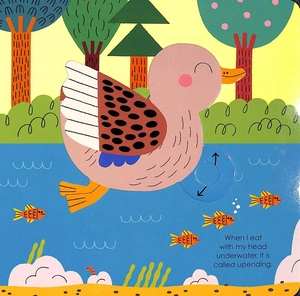 bộ duck (my little green world 6)