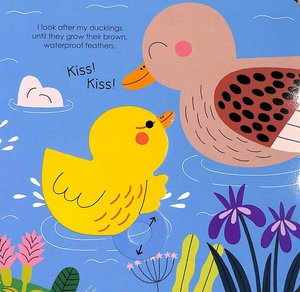 bộ duck (my little green world 6)