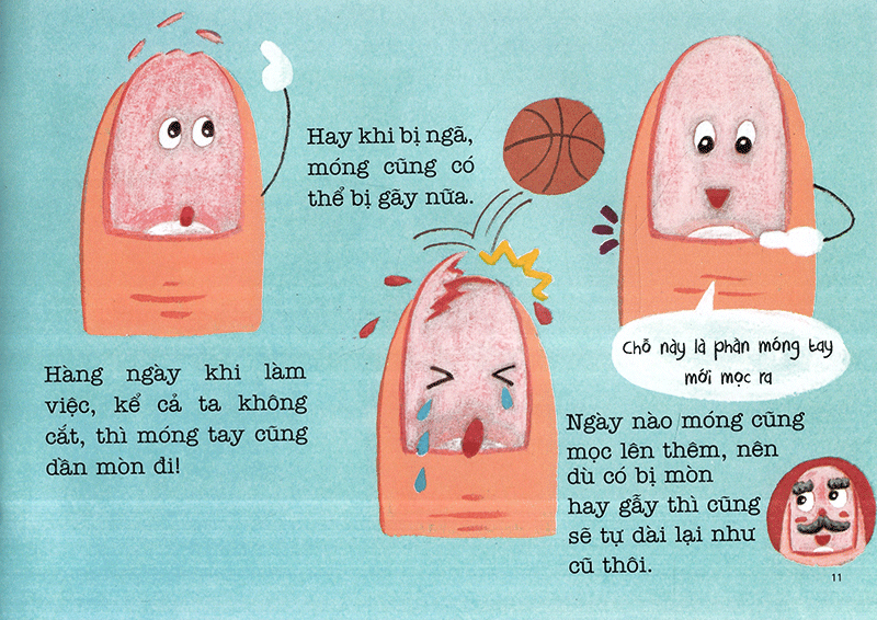 bộ ehon sự kỳ diệu của cơ thể - bí mật của móng tay (tái bản 2020)