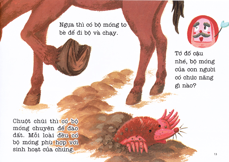 bộ ehon sự kỳ diệu của cơ thể - bí mật của móng tay (tái bản 2020)