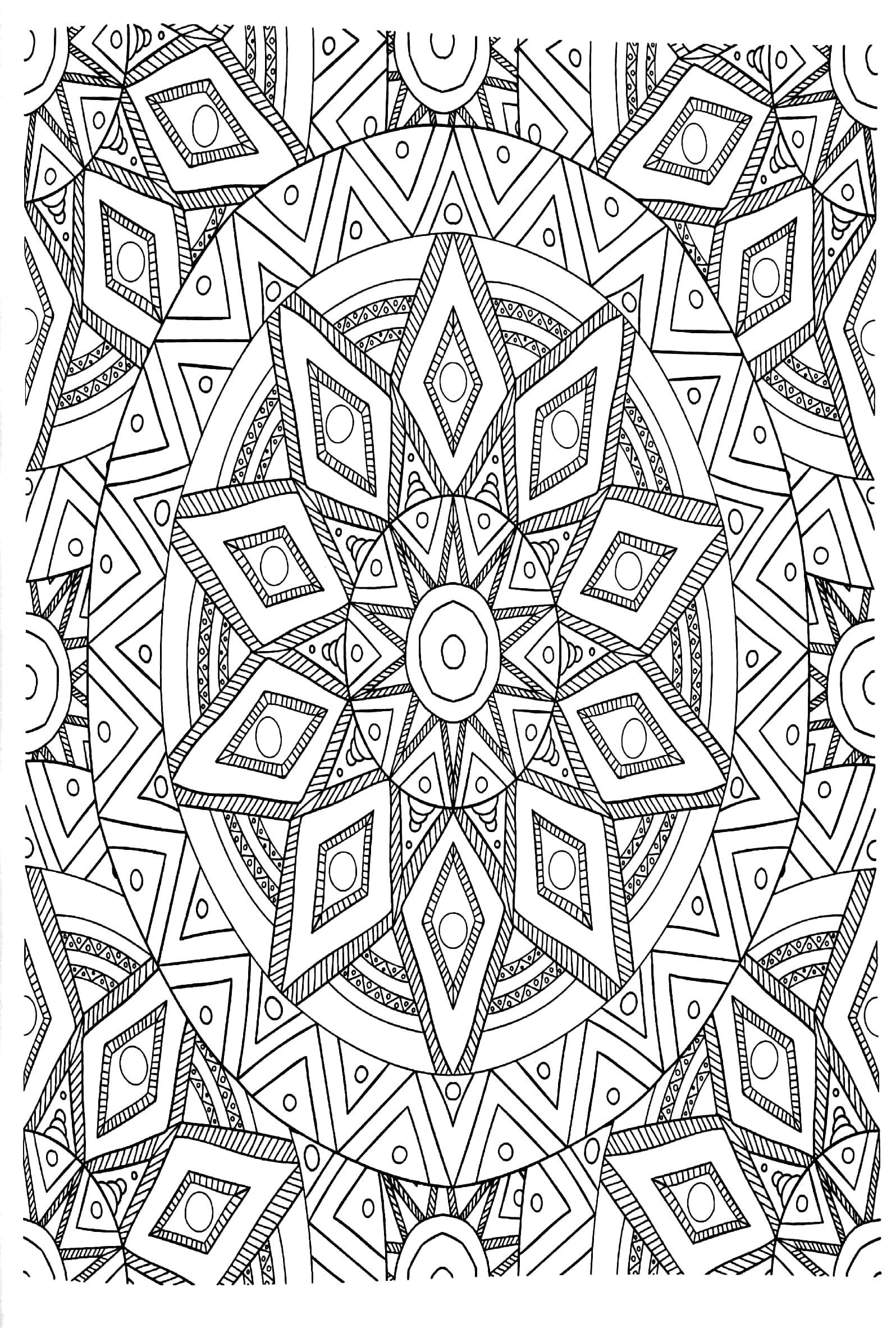 bộ enchanting adult colouring series: book 1