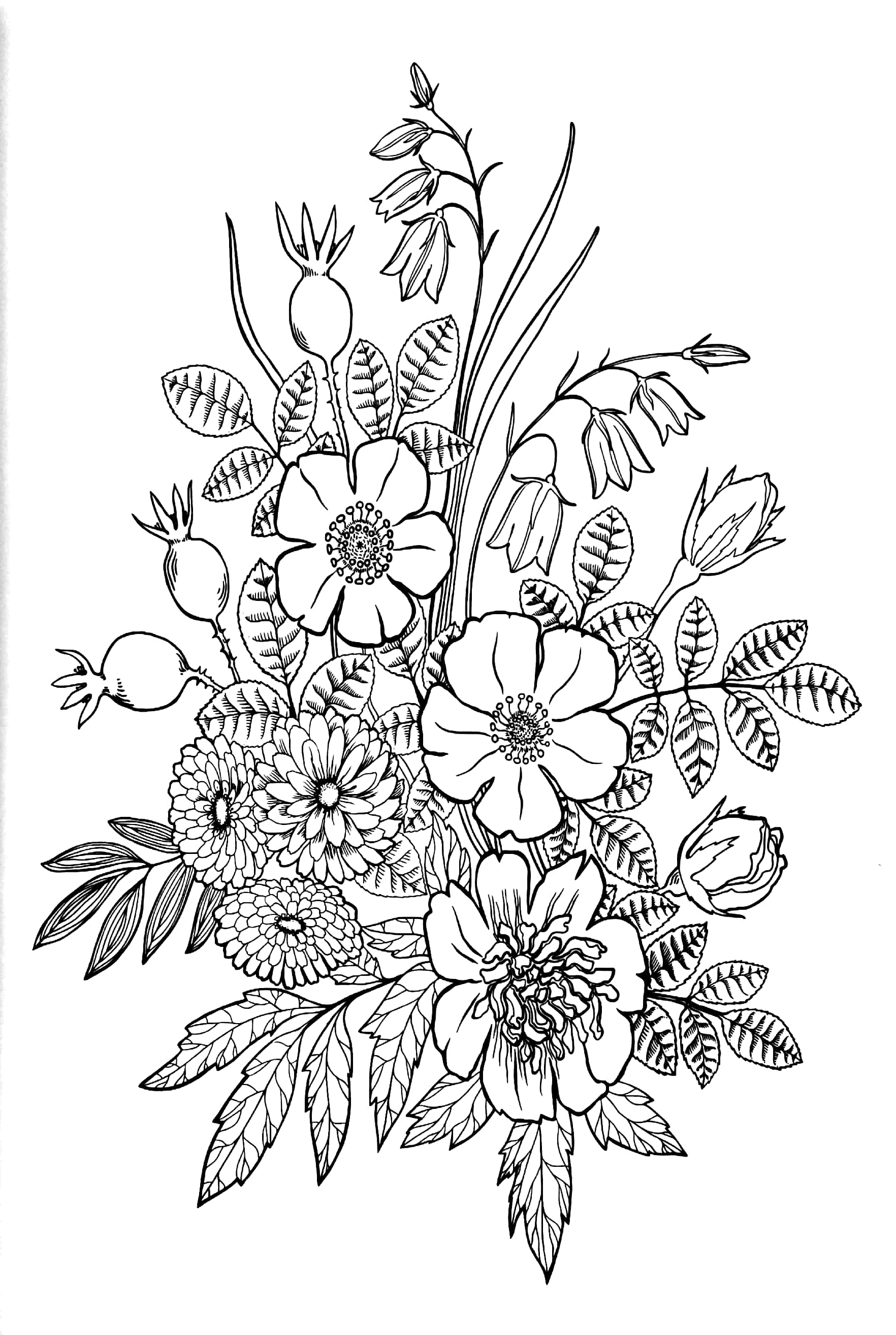 bộ enchanting adult colouring series - book 4