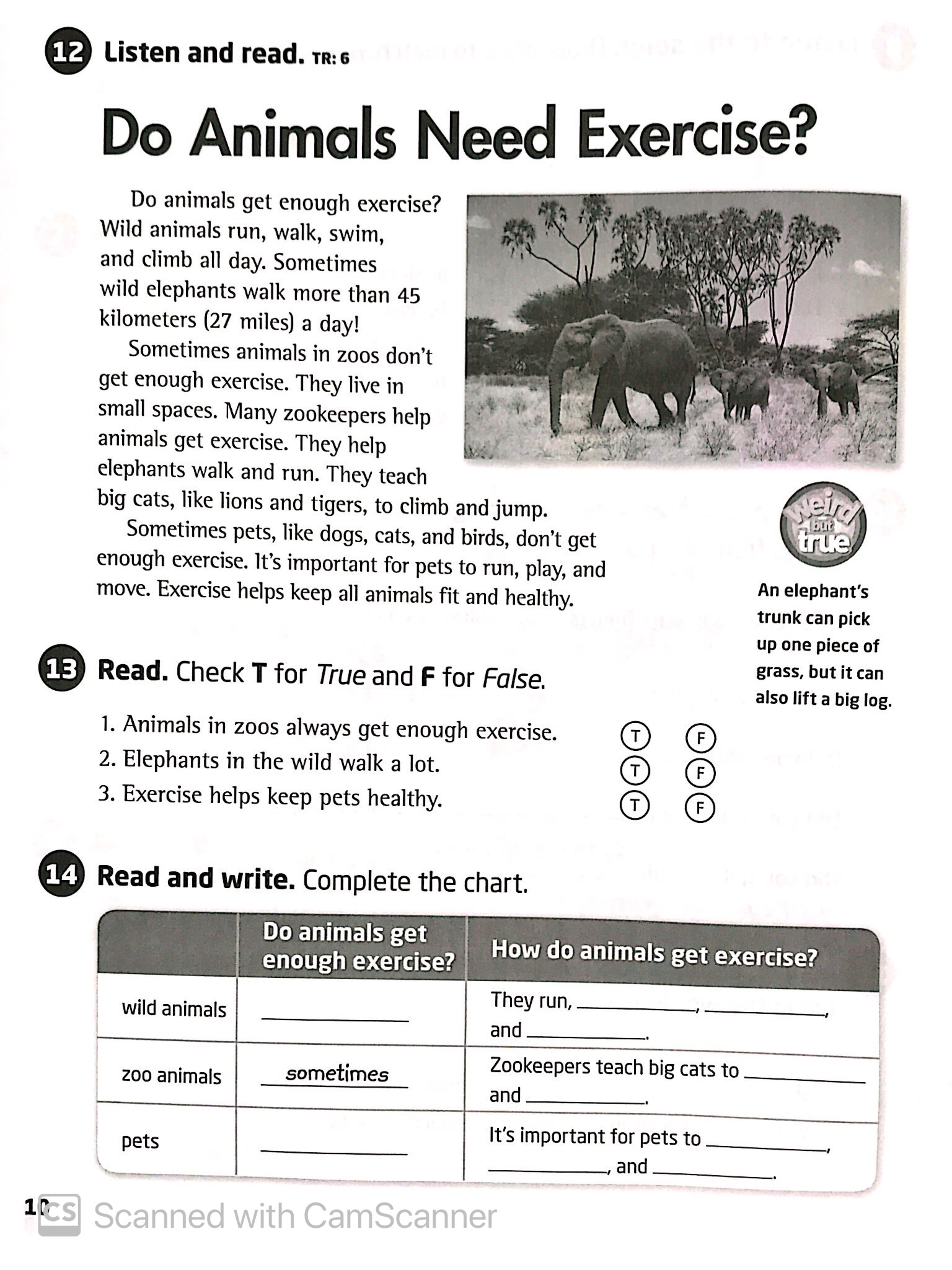 bộ explore our world: workbook 4