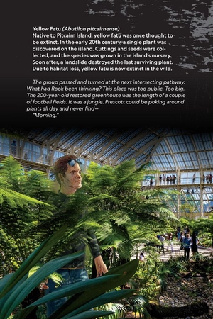 bộ explorer academy 5: the tiger's nest