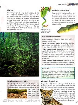 bộ factoscope : geography - sinh quyển 2 (tranh màu)