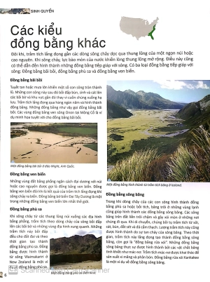 bộ factoscope : geography - sinh quyển 2 (tranh màu)