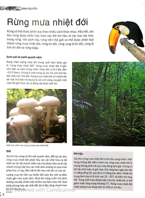 bộ factoscope : geography - sinh quyển 2 (tranh màu)